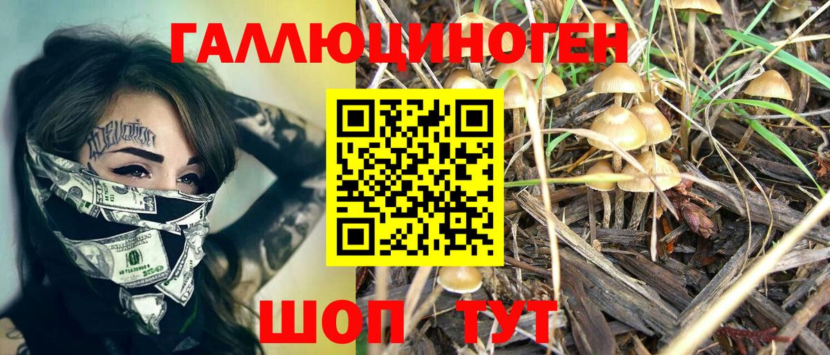 Псилоцибиновые грибы Magic Shrooms Карачаевск
