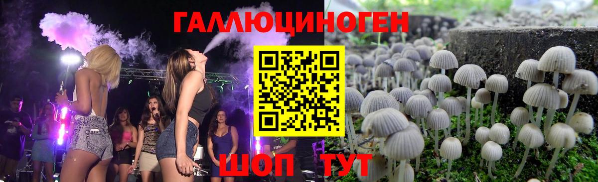 Псилоцибиновые грибы GOLDEN TEACHER  Галлюциногенные грибы MAGIC MUSHROOMS  наркотики  Карачаевск  Вход с VPN 